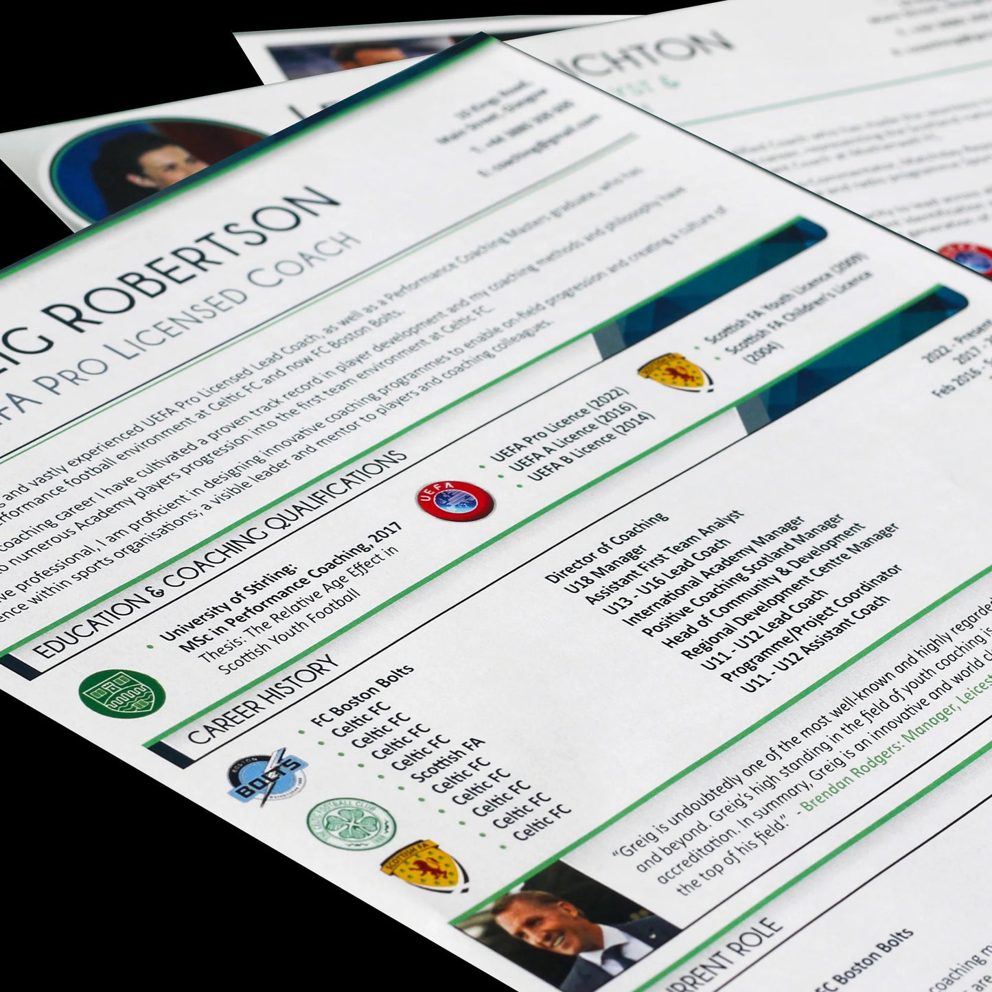 Graphically Designed CV