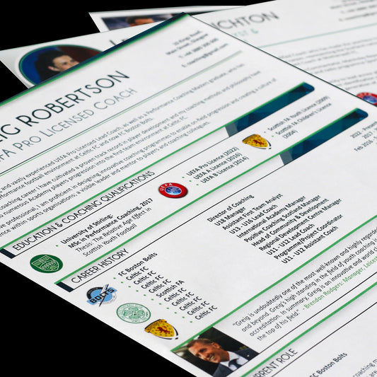 Graphically Designed CV